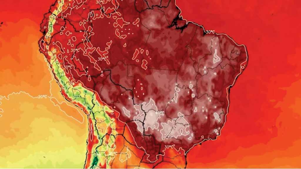 Crédito: Divulgação